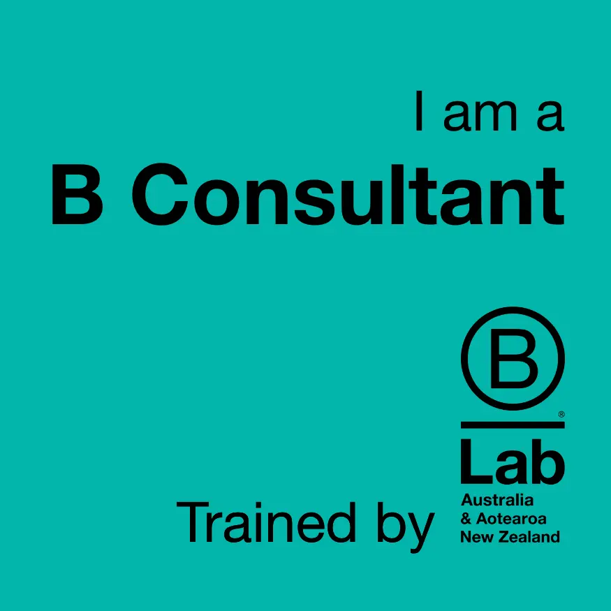 What is a b corp consultant?