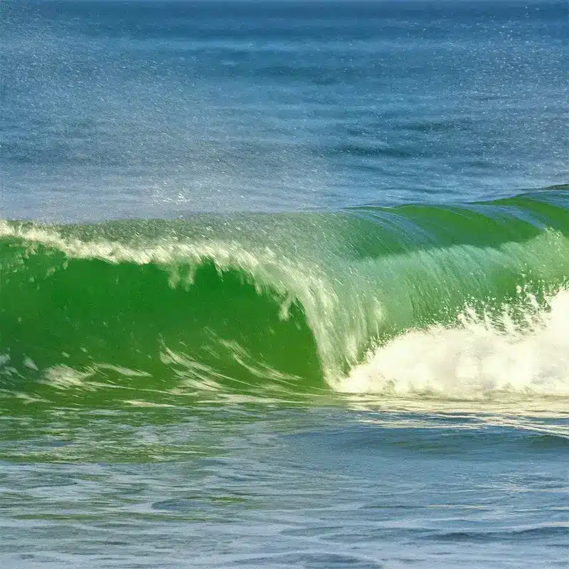 Green Washing