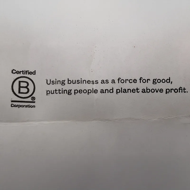 Navigating the new B Corp Standards